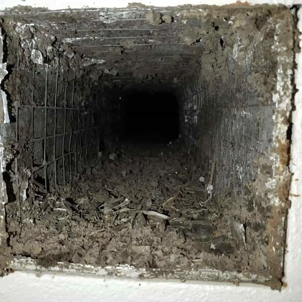 Air duct cleaning plano